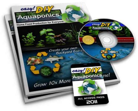 Easy DIY Aquaponics